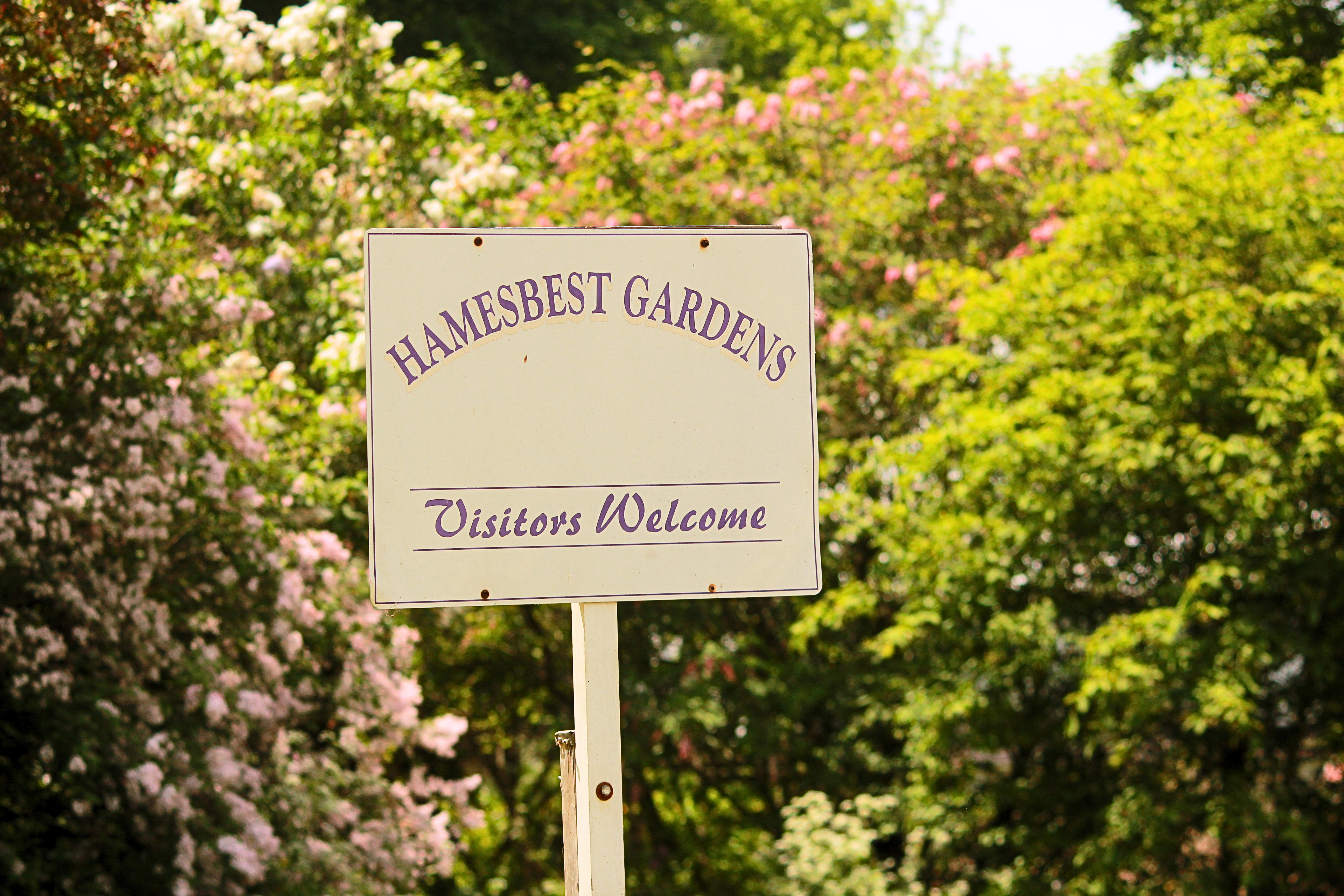 Image of the Hamesbest Gardens sign 